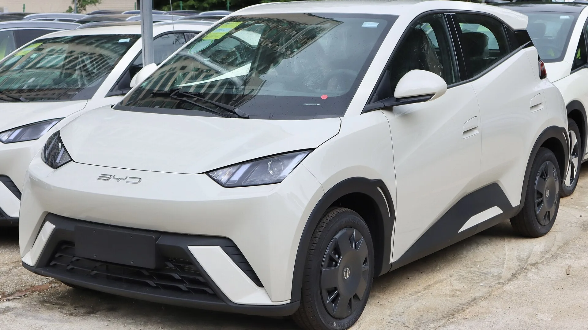 BYD Dolphin Mini branco real com marca BYD visível na dianteira